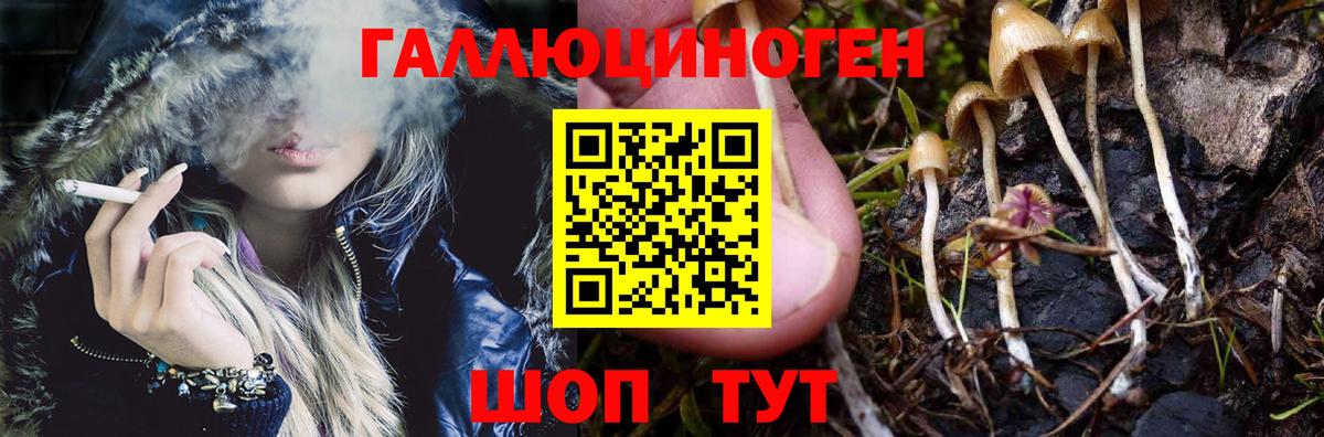 Галлюциногенные грибы MAGIC MUSHROOMS Абинск